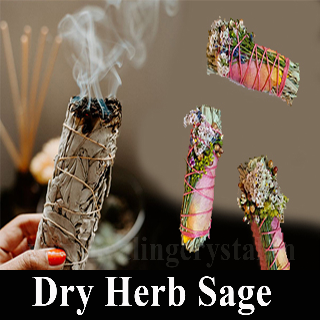 white sage dry herb Healing Crystal Shop India